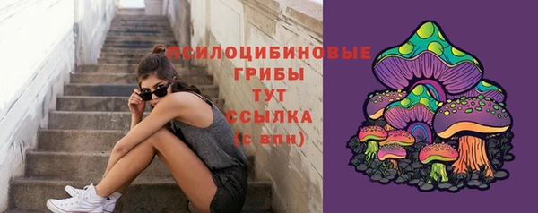 стаф Алексин