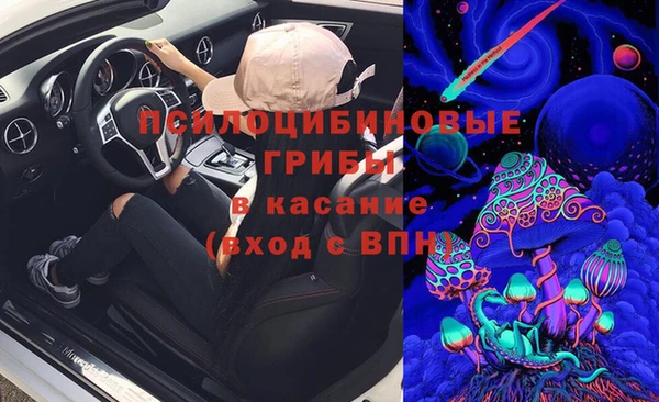 стаф Алексин