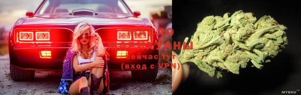 спиды Алзамай