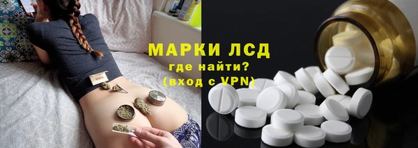 стаф Алексин