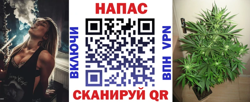 купить наркотик  дарк нет наркотические препараты  Бошки Шишки Amnesia  Данилов 